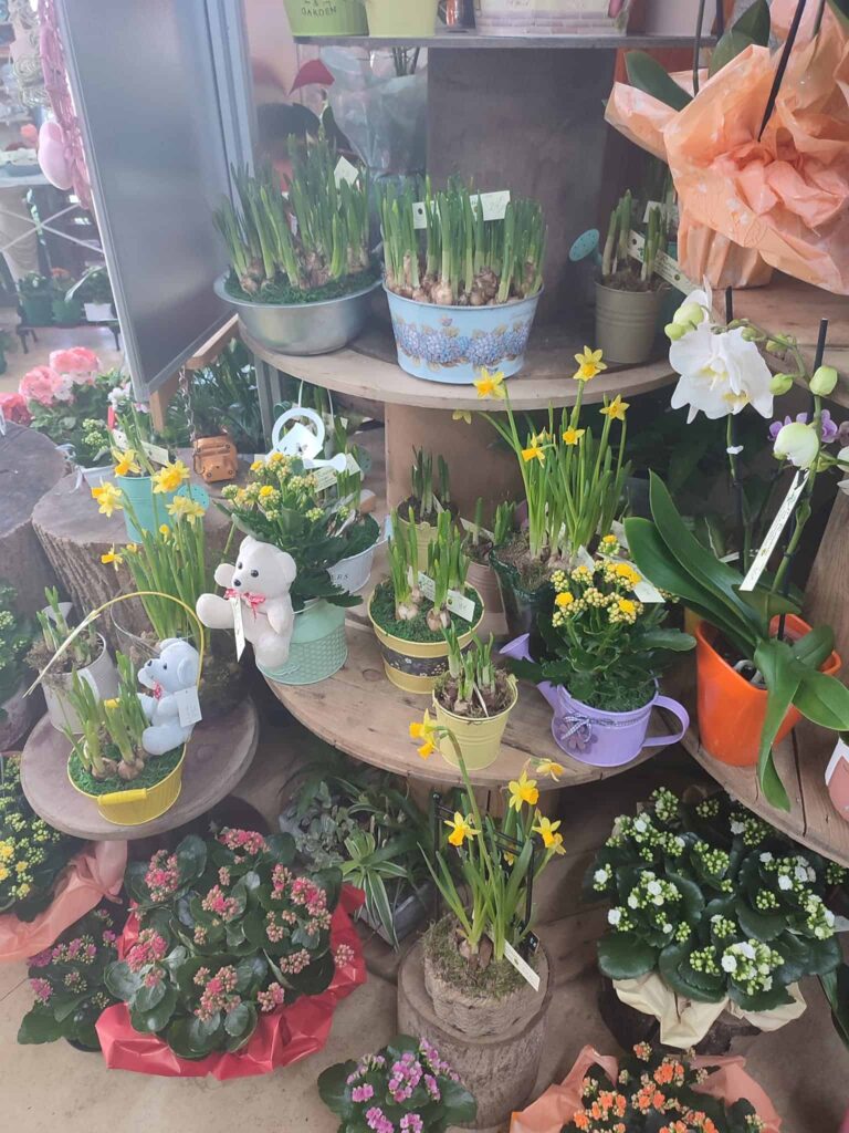 Compositions et plantes fleuries en boutique à Bapaume