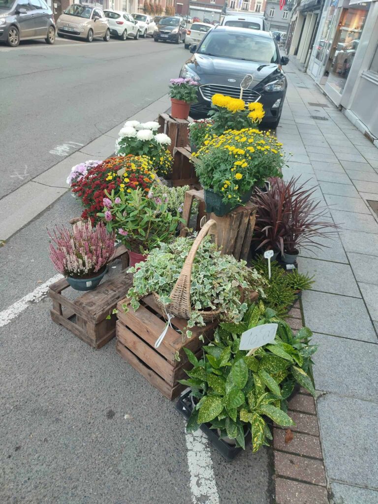 Plantes et fleurs en pot devant la boutique La Roseraie, rue d’Arras à Bapaume